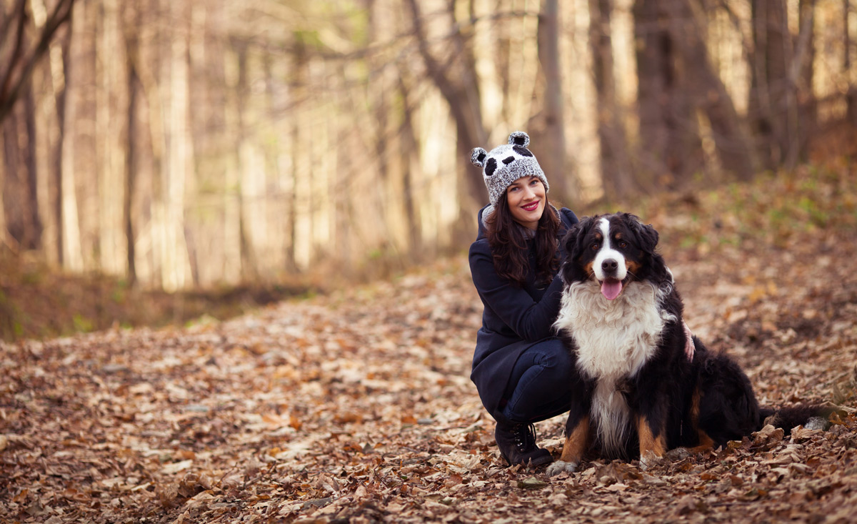 Urlaub mit dem Hund